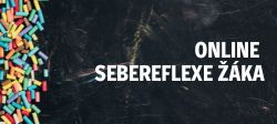 Sebereflexe